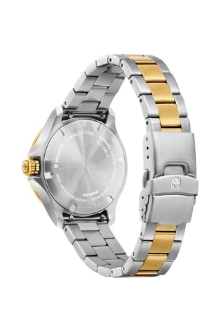 Stalen Quartz Horloge Seaforce - Zilverkleurig en Goudkleurig