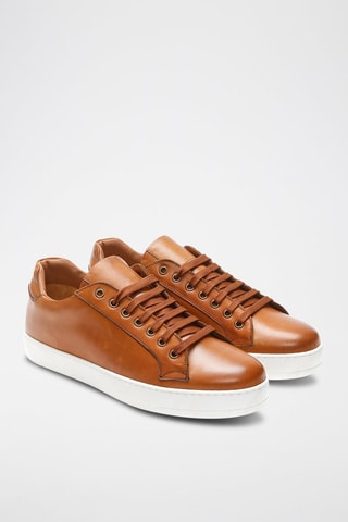 Leren   Sneakers Bruin - British Passport