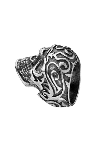 Ring Zilverkleurig