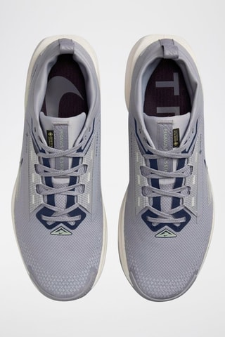 Pegasus 5 - Gris clair - Nike