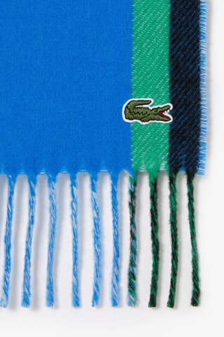 Écharpe de lã - Azul-cobalto