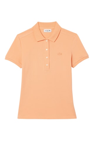 Polo - Salmão