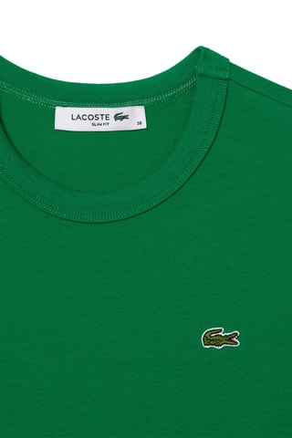 T-shirt em algodão biológico - Verde-claro