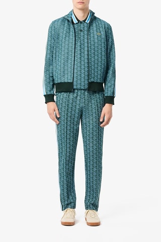 Polo em algodão biológico - Verde-escuro e azul-celeste