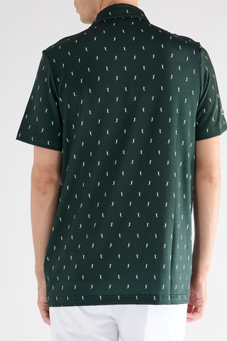 Polo - Verde