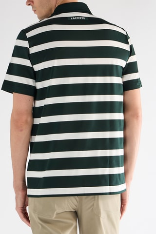 Polo - Verde e branco
