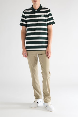 Polo - Verde e branco