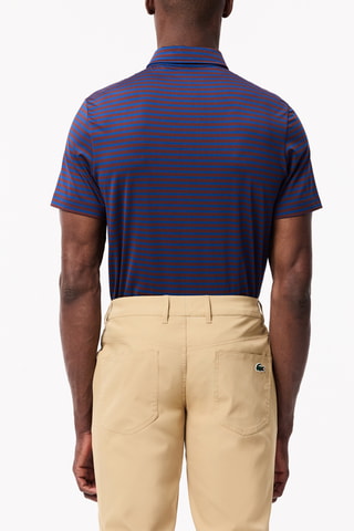 Polo regular - Azul-petróleo e castanho