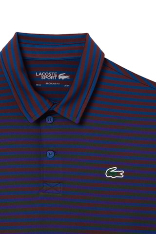 Polo regular - Azul-petróleo e castanho