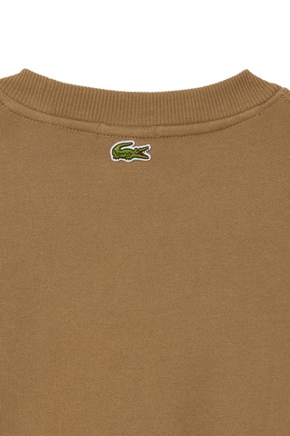 Sweat em algodão biológico - Castanho-claro