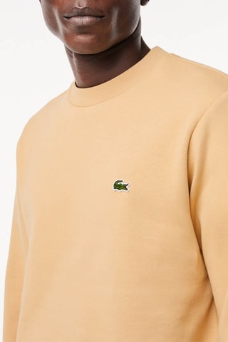 Sweat - Bege