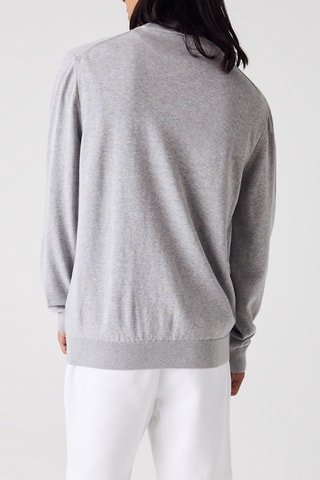 Camisola em algodão biológico - Cinzento-claro