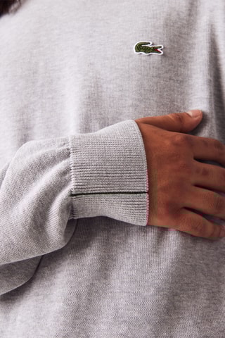 Camisola em algodão biológico - Cinzento-claro