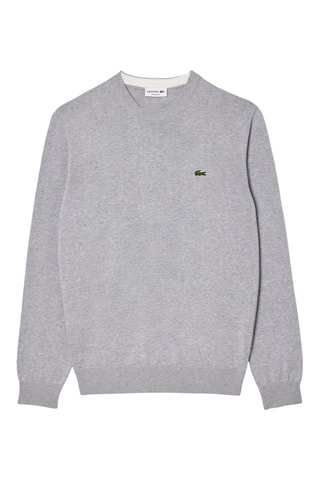 Camisola em algodão biológico - Cinzento-claro