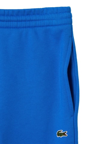 Calças de treino em algodão biológico - Azul-real