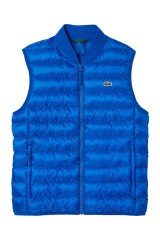 Colete acolchoado - Azul-cobalto