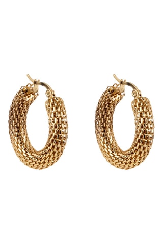 Argolas- Banhada a ouro amarelo - Emily Westwood