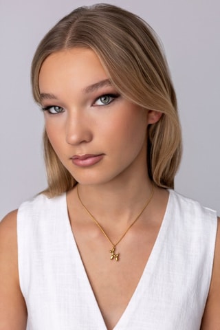 Colar- Banhada a ouro amarelo - Emily Westwood