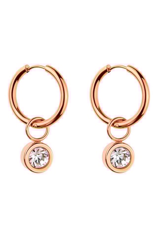 Brincos Dourado rosa