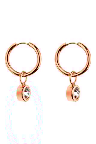 Brincos Dourado rosa