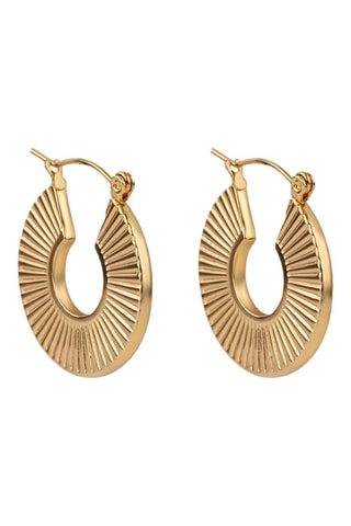 Brincos- Banhada a ouro amarelo - Emily Westwood