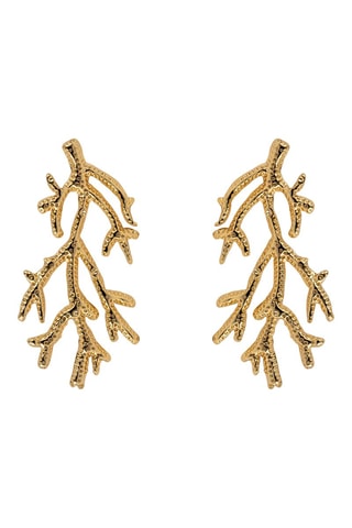 Brincos- Banhada a ouro amarelo - Emily Westwood