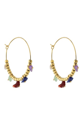 Argolas Banhado a ouro - Emily Westwood