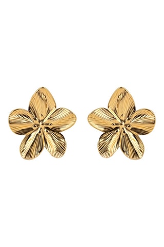 Brincos- Banhada a ouro amarelo - Emily Westwood