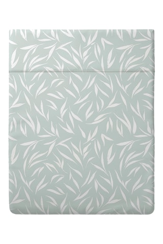 Drap plat en satin de coton 80 fils/cm² Olea europaea - Vert clair et blanc