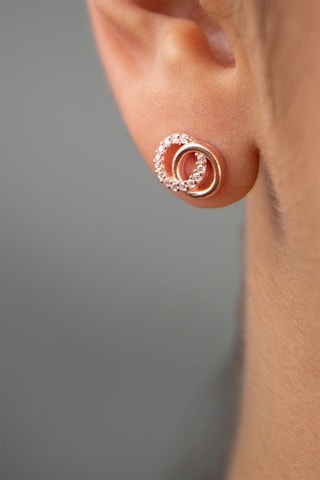 Puces - Argent