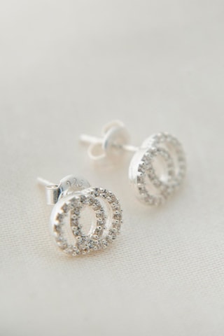 Puces - Argent