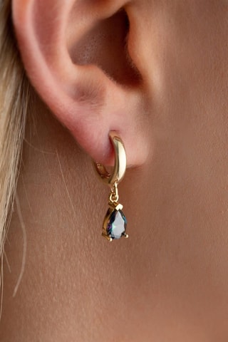 Boucles d'oreilles - Argent 