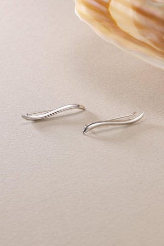 Puces - Argent 