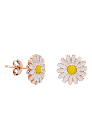 Puces - Argent plaqué or rose