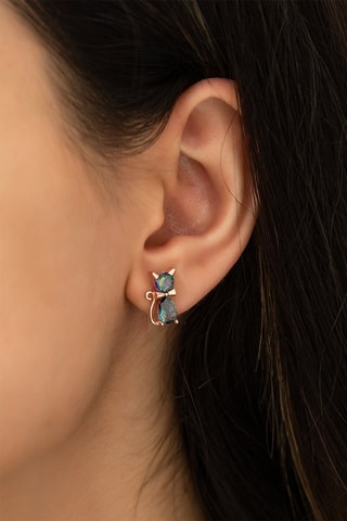 Boucles d'oreilles - Argent
