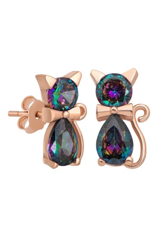 Boucles d'oreilles - Argent