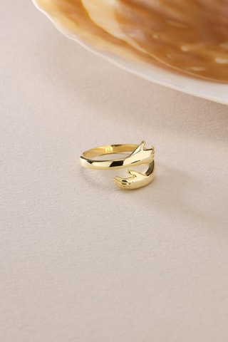 Bague - Argent