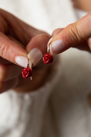 Boucles d'oreilles - Doré et rouge