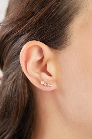 Puces - Argent