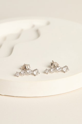 Puces - Argent