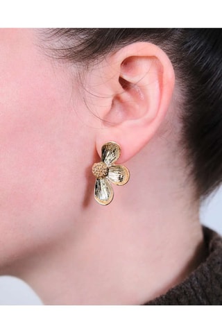 Puces - Zircons