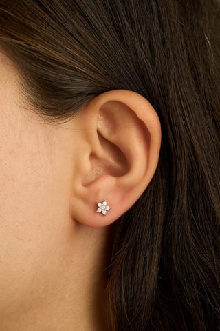 Puces - Argent