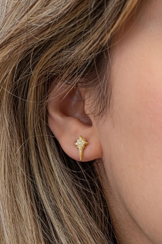 Puces - Argent plaqué or jaune et zircons