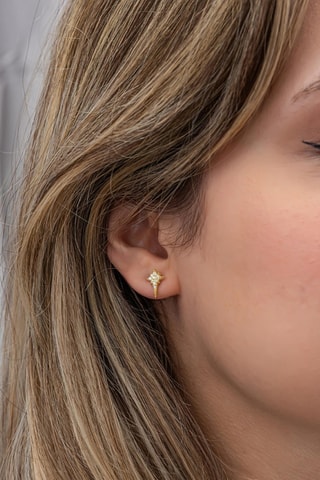Puces - Argent plaqué or jaune et zircons