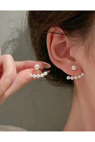 Puces - Zircons