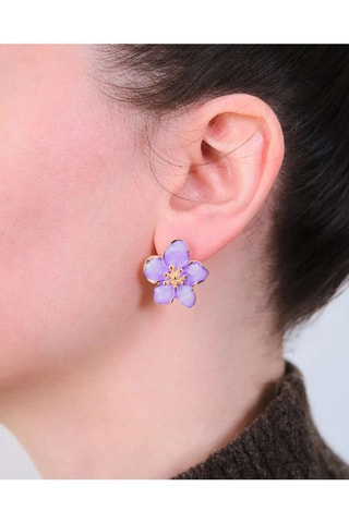Puces - Zircons