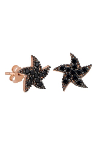 Boucles d'oreilles - Argent