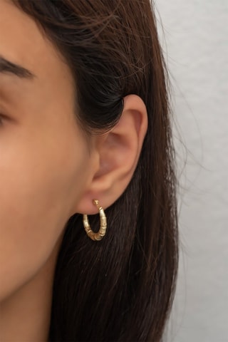 Boucles d'oreilles - Argent