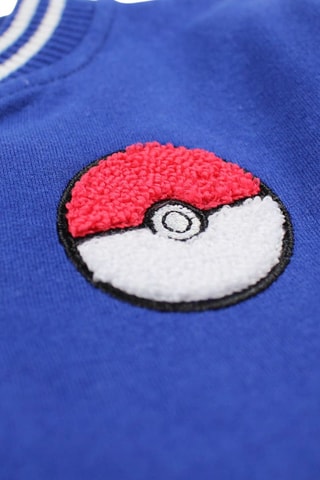 Teddy Pokémon - Bleu cobalt