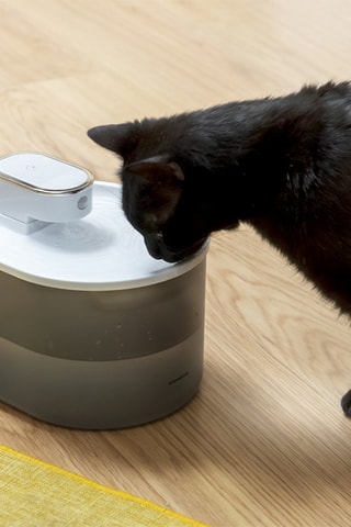 Fontaine rechargeable pour animaux de compagnie - 3 l